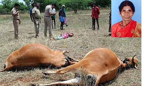 மின்னல் தாக்கி பெண் பலி