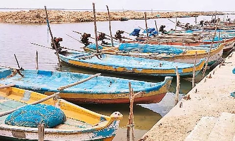 பழவேற்காடு ஏரியில் மீன் பிடிக்க தடை