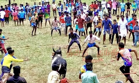 கொட்டாம்பட்டி அருகே மஞ்சுவிரட்டில் சீறிப்பாய்ந்த காளைகள் - 5 பேர் காயம்