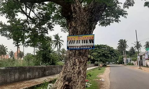 சாலையோர மரங்களை சிதைக்கும் விளம்பர பதாகைகள்