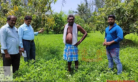 எள், கடலை, பயறு வயல்களில் வேளாண்மை துறையினர் ஆய்வு