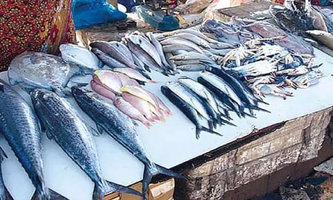 காசிமேட்டில் வஞ்சிரம் மீன் கிலோ ரூ.2 ஆயிரத்துக்கு விற்பனை