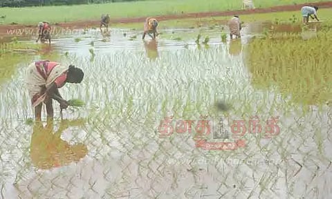 விவசாய பணி தீவிரம்