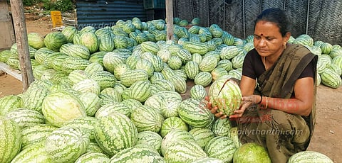 ராமநாதபுரத்தில் தர்பூசணி வியாபாரம் பாதிப்பு