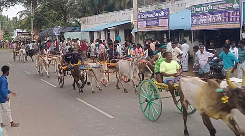 குதிரை, மாட்டு வண்டி எல்கை பந்தயம்