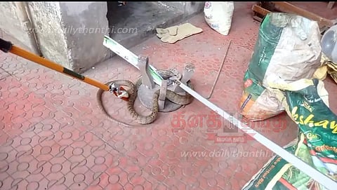 வீட்டுக்குள் புகுந்த பாம்பு