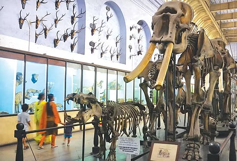 குழந்தைகளை அருங்காட்சியகத்திற்கு அழைத்துச் செல்வதன் அவசியம்