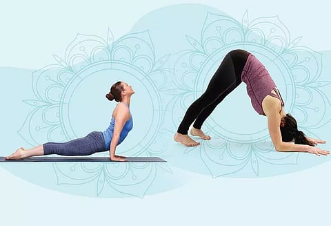 கைகளை வலுவாக்கும் யோகாசனங்கள்