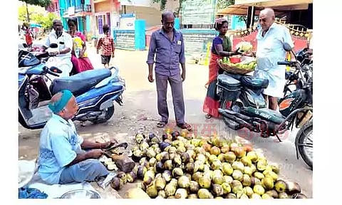 நுங்கு விற்பனை மும்முரம்
