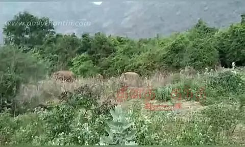 பிளவக்கல் பெரியாறு அணைக்கு யாரும் செல்ல வேண்டாம்