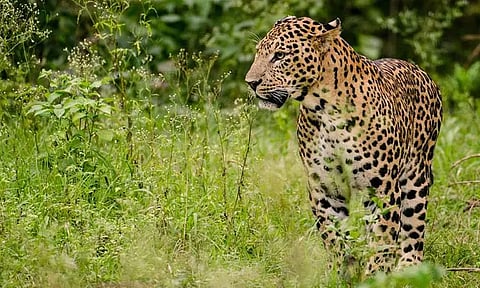 கோப்புப்படம்