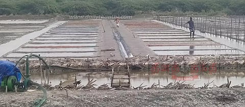 மீண்டும் உப்பு உற்பத்தி பணிகள் தொடக்கம்