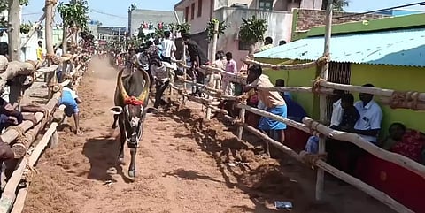 எருது விடும் விழா