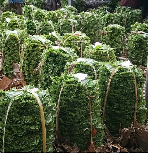 வெற்றிலை விலை சரிவால் விவசாயிகள் கவலை