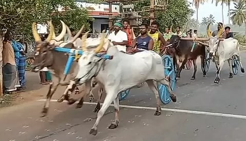 மாட்டு வண்டி எல்கை பந்தயம்