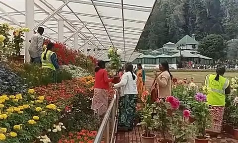 நீலகிரி மாவட்டத்திற்கு நாளை உள்ளூர் விடுமுறை - மாவட்ட கலெக்டர் அம்ரித் அறிவிப்பு