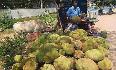 விற்பனைக்காக குவிந்த பலாப்பழங்கள்