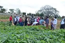 தோட்டக்கலை விவசாயிகளுக்குவெளிநாட்டில் பயிற்சி-அதிகாரிகள் தகவல்