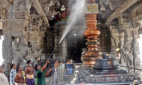 கடலூர் பாடலீஸ்வரர் கோவிலில் உழவார பணி