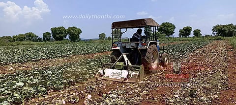 தாளவாடி மலைப்பகுதியில் வேதனை: ஒரு கிலோ முட்டைகோசை 1 ரூபாய்க்கு கேட்பதால் டிராக்டர் ஓட்டி பயிரை அழிக்கும் விவசாயிகள்