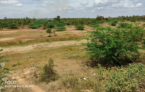 கறம்பக்குடி பகுதியில் ஏரி, குளங்கள் வறண்டன