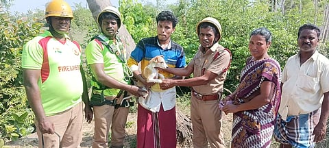 கிணற்றில் தவறி விழுந்த நாய்க்குட்டி உயிருடன் மீட்பு