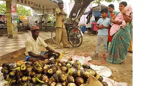 நுங்கு விற்பனை மும்முரம்