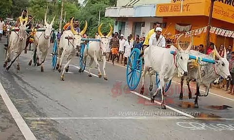 கோவில் திருவிழாவையொட்டி மாட்டு வண்டி பந்தயம்