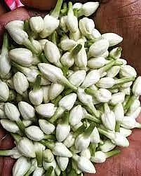 நாமக்கல் தினசரி சந்தையில்வரத்து அதிகரிப்பால் பூக்கள் விலை குறைந்தது