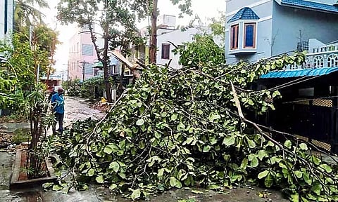 சென்னை புறநகர் பகுதியில் பலத்த மழை: மரங்கள், பேனர்கள் விழுந்ததால் மின்சாரம் துண்டிப்பு