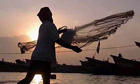 பழவேற்காடு ஏரியில் கோட்டைக்குப்பம் ஊராட்சி மீனவர்கள் மீன் பிடிக்கலாம் - சப்-கலெக்டர் உத்தரவு