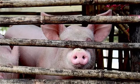 கோப்புப்படம்