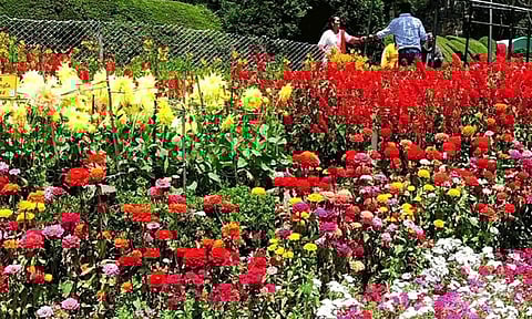 கொடைக்கானல் மலர் கண்காட்சி மேளும் 2 நாள் நீட்டிப்பு