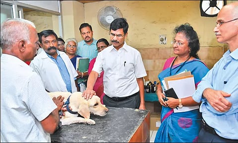 சிட்லபாக்கம் கால்நடை ஆஸ்பத்திரியில் இறையன்பு ஆய்வு