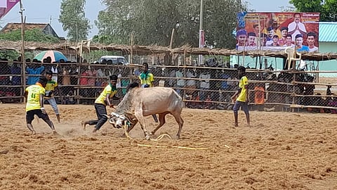கோவில்பட்டியில் வடமாடு மஞ்சுவிரட்டு