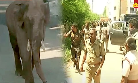 அரிக்கொம்பன் யானையை பயிற்சி பெற்ற பழங்குடியினர்கள் மூலம் பிடிக்க நடவடிக்கை