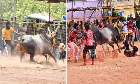 வடமாடு மஞ்சுவிரட்டு போட்டி