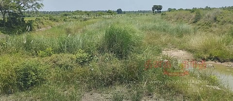 நசுவினி ஆற்றை தூர்வார வேண்டும்