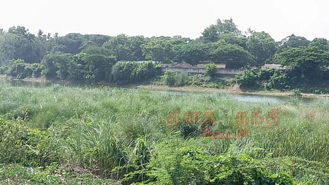 கும்பகோணம் காவிரி ஆற்றில் புதர்கள் அகற்றப்படுமா?