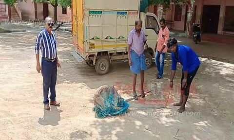 சாலையில் சுற்றித்திரிந்த 20 நாய்கள் பிடிக்கப்பட்டது