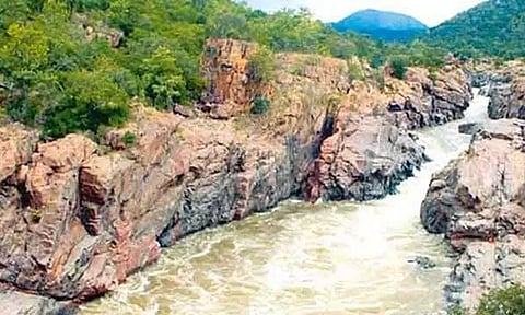 மேகதாது அணை விவகாரம்:கர்நாடக அரசை மத்திய அரசு கண்டிக்க வேண்டும்காவிரி டெல்டா பாசன விவசாய சங்கங்களின் கூட்டமைப்பு தலைவர் அறிக்கை