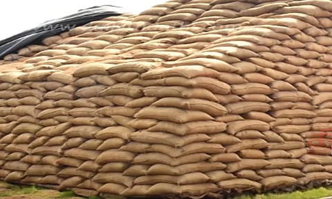 தர்மபுரி அருகே நெல் மூட்டைகள் மாயமான கிடங்கில்குடிமைப்பொருள் வழங்கல் குற்றப்புலனாய்வு போலீஸ் அதிகாரிகள் ஆய்வு