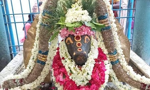 காசி விஸ்வநாதர் கோவிலில் பிரதோஷ விழா