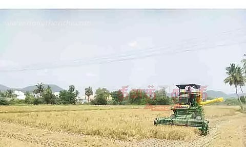 நெல் அறுவடை