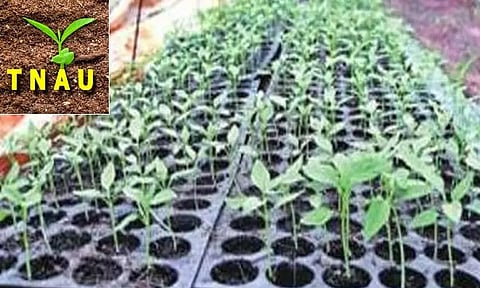 தோட்டக்கலைத்துறை மூலம் விவசாயிகள் மானியம் பெறலாம் - திருவள்ளூர் மாவட்ட தோட்டக்கலை துணை இயக்குனர்