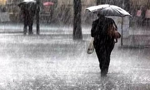 பேரம்பாக்கம், திருவாலங்காடு சுற்றுவட்டார பகுதியில் சூறைக்காற்றுடன் மழை - மரங்கள், மின்கம்பங்கங்கள் சாய்ந்ததால் மின்தடை