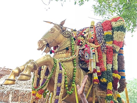 வரதராஜப்பெருமாள் கோவில் வைகாசி வசந்த உற்சவம்
