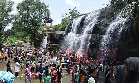 திற்பரப்பு அருவி 'களை' கட்டியது
