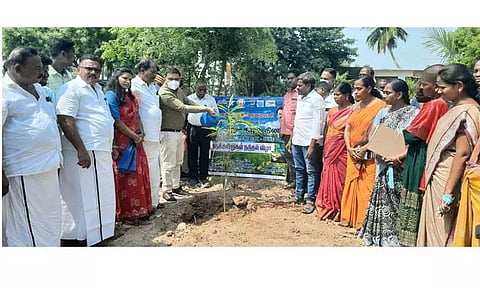 உலக சுற்றுச்சூழல் தினத்தை முன்னிட்டு கள்ளக்குறிச்சியில் மரக்கன்றுகள் நடும் விழா