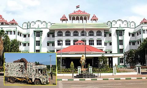 அரிக்கொம்பன் யானை வழக்கு: சிறப்பு அமர்வுக்கு மாற்றி ஐகோர்ட்டு மதுரைக்கிளை உத்தரவு